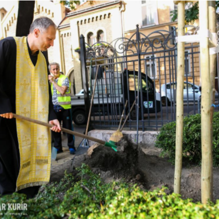 Emlékfa hirdeti Ferenc pápa látogatását a budapesti Rózsák terén