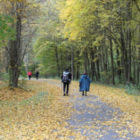 Görögkatolikusok a Bakony csúcsán
