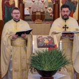 Krisztus a búzamag, aki halálával hozott termést – bú...