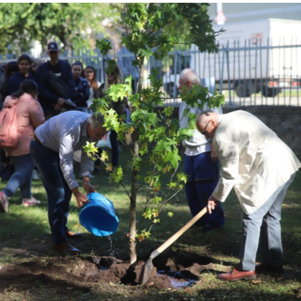 Ültess fát és gondozd a lelked - Elkezdődött a Görögkatolikus Metropólia faültetési akciója